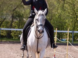IMG_1661_web